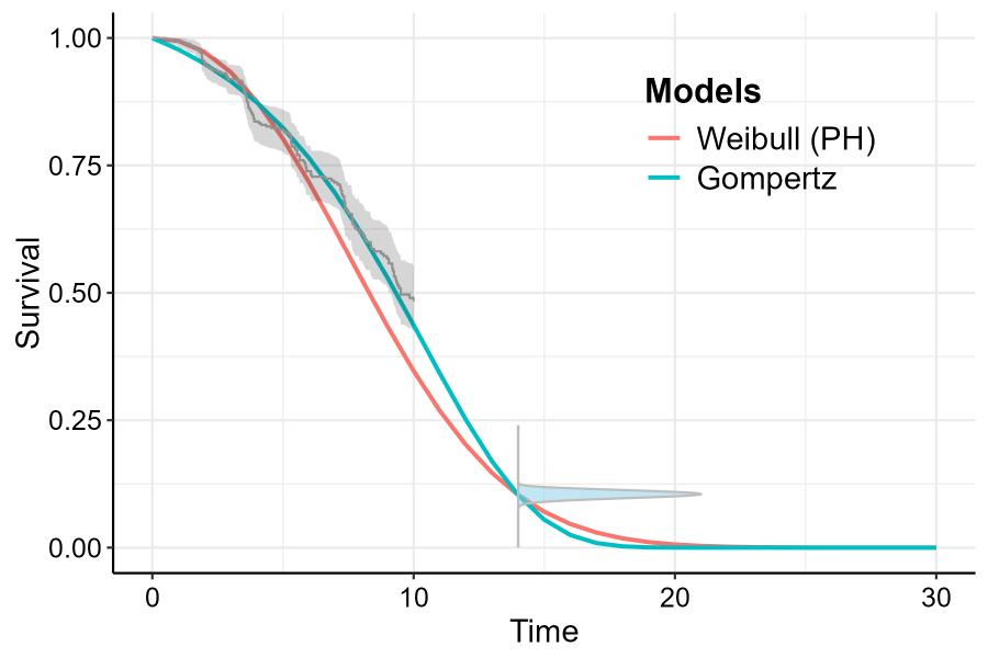 Survival function with Expert prior